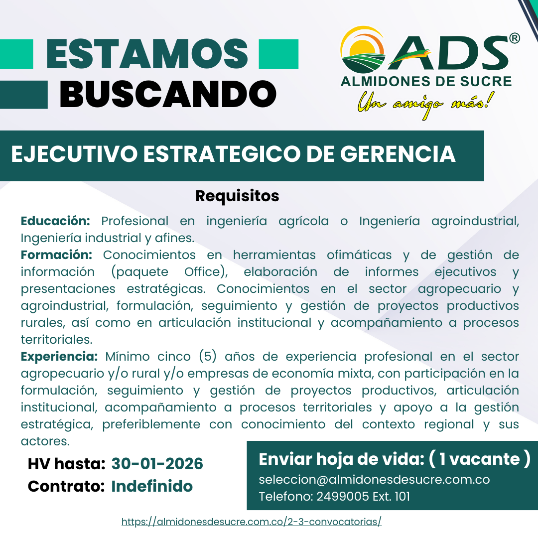 VACANTE EJECUTIVO ESTRATEGICO GERENCIA 